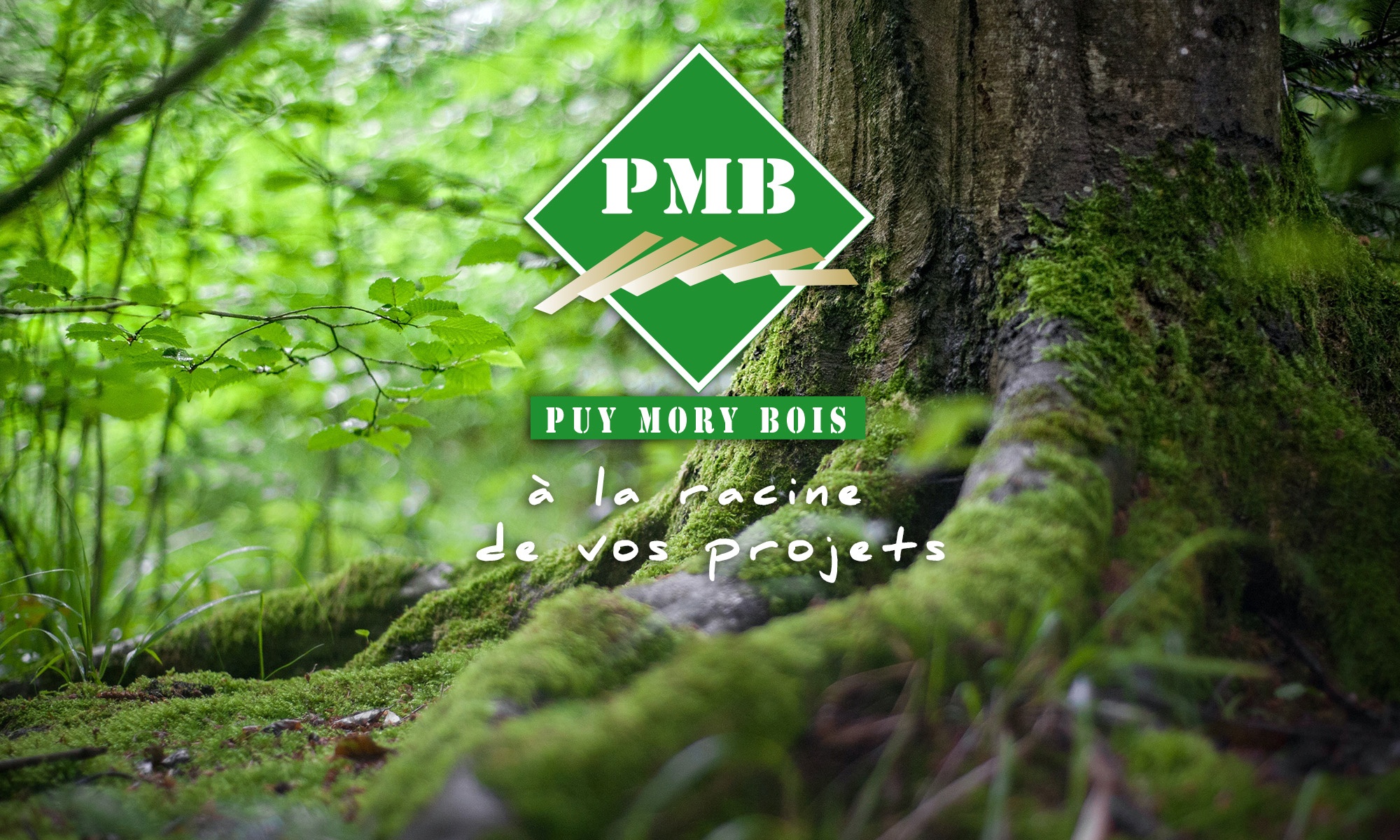 Puy Mory Bois